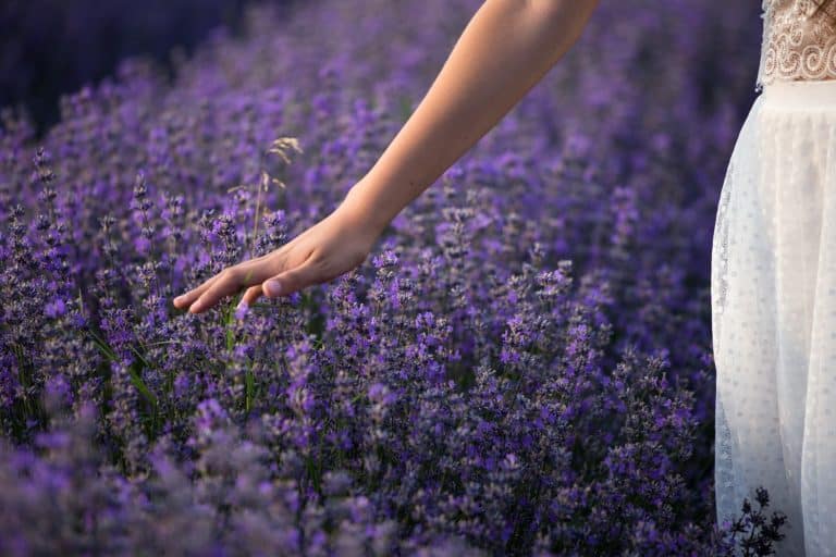 Florame : notre avis sur la marque de cosmétiques bio