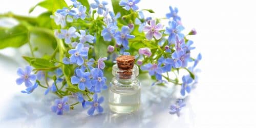 aromatherapie-vegan Aromathérapie Vegan